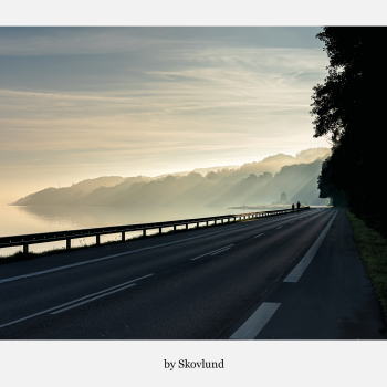 Diset morgen ved Ib�k � Vejle Fjord