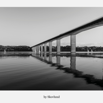 Sommerstemning ved Vejle Fjord