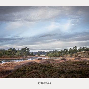 Stilhed over s�erne, Syv�rss�erne