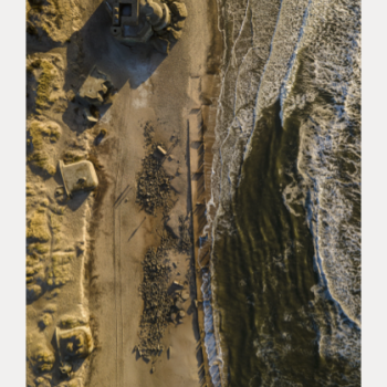 Det der blev tilbage