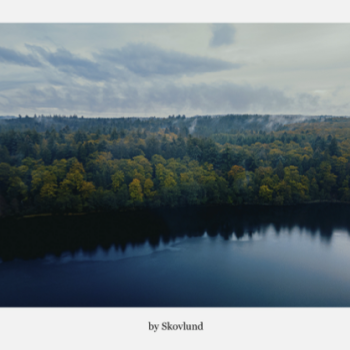 Dis i efter�rsskoven