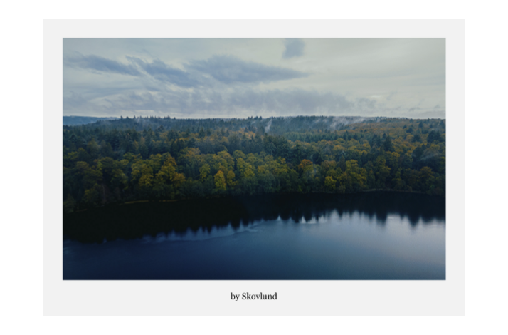 Dis i efter�rsskoven