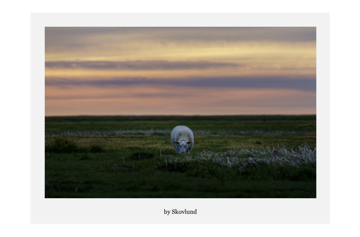 Alene i marskens solnedgang, Mand�