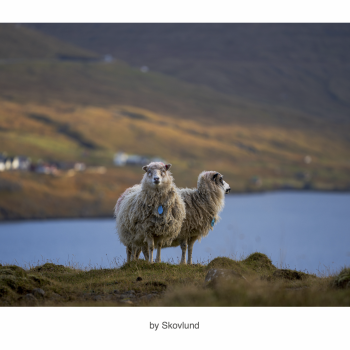 N�r fjeldet holder �je