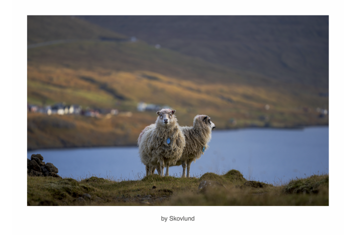 N�r fjeldet holder �je