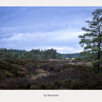  Under den store himmel, Syv�rss�erne