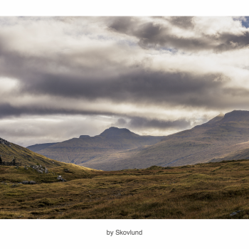 Hvor lyset hviler mellem fjelde