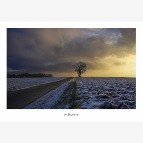 Vintermorgenens ensomhed
