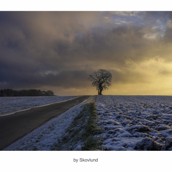 Vintermorgenens ensomhed