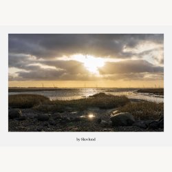 6 kunstkort fra Vadehavet - Lys og landskab
