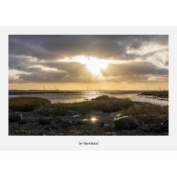 6 kunstkort fra Vadehavet - Lys og landskab