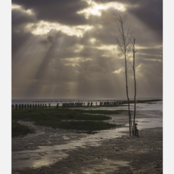 Lysstr�ler over Ebbevej, Mand�