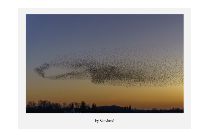 Sort sol �Cirklen�, Aventoft